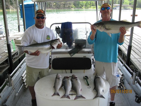 Nice Striped Bass